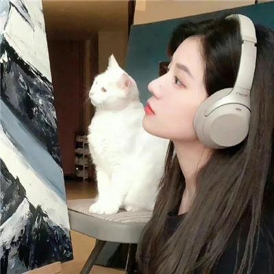 精选·折纸折柳·前传